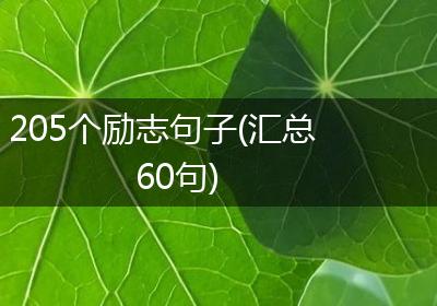 205个励志句子(汇总60句)