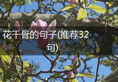 花千骨的句子(推荐32句)