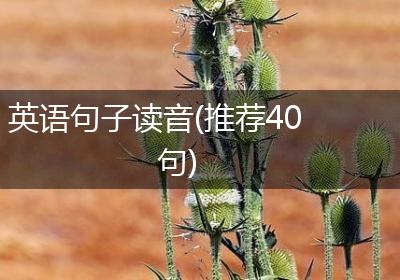 英语句子读音(推荐40句)