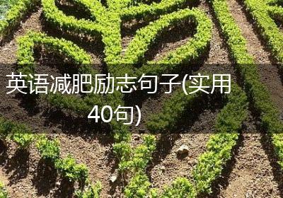 英语减肥励志句子(实用40句)