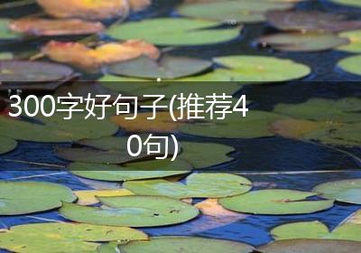 300字好句子(推荐40句)