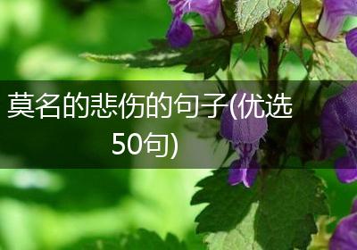 莫名的悲伤的句子(优选50句)