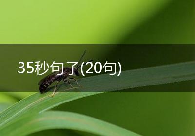 35秒句子(20句)