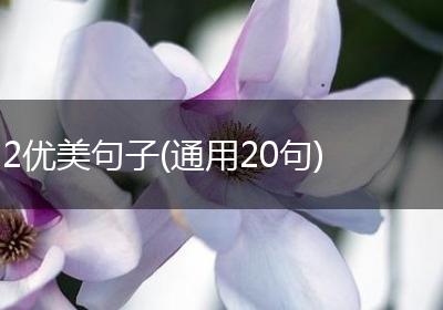 2优美句子(通用20句)