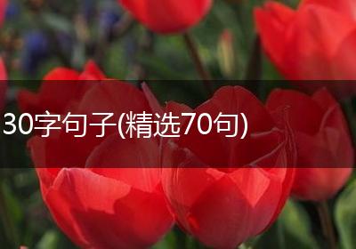 30字句子(精选70句)