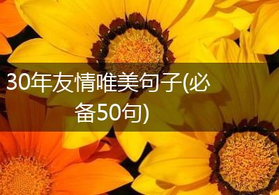 30年友情唯美句子(必备50句)