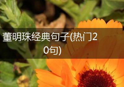 董明珠经典句子(热门20句)