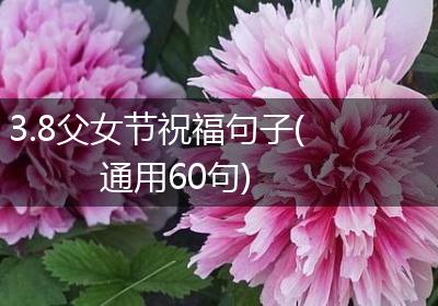 3.8父女节祝福句子(通用60句)