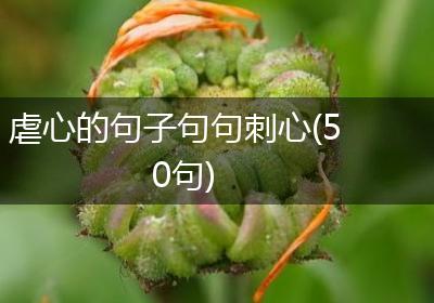 虐心的句子句句刺心(50句)