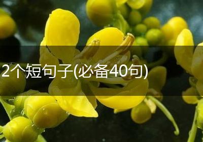 2个短句子(必备40句)