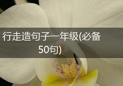 行走造句子一年级(必备50句)