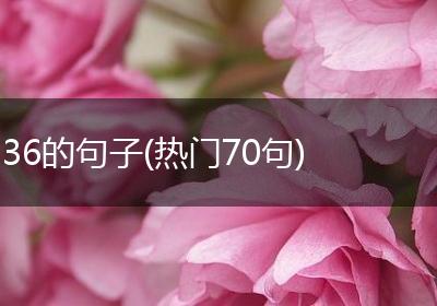 36的句子(热门70句)