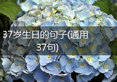 37岁生日的句子(通用37句)