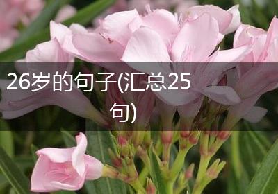 26岁的句子(汇总25句)