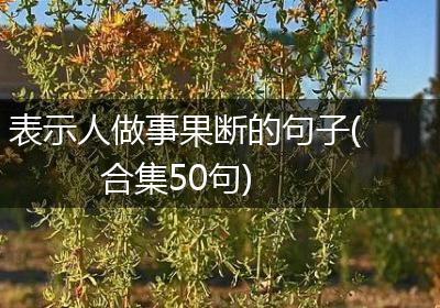 表示人做事果断的句子(合集50句)