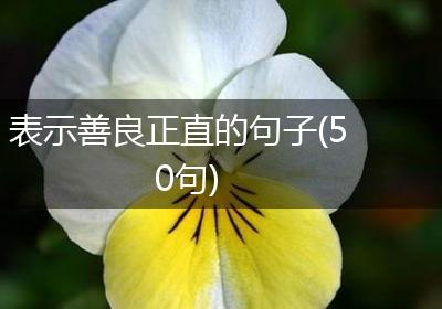 表示善良正直的句子(50句)