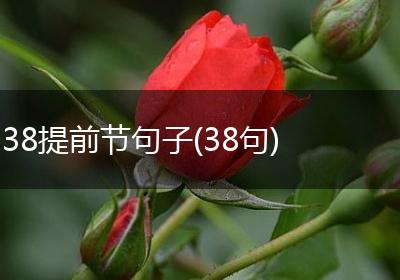 38提前节句子(38句)