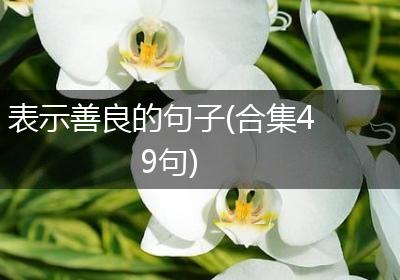 表示善良的句子(合集49句)