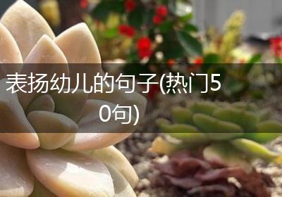 表扬幼儿的句子(热门50句)