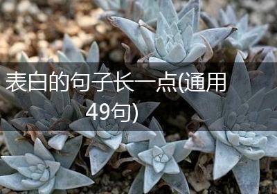 表白的句子长一点(通用49句)