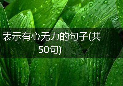 表示有心无力的句子(共50句)