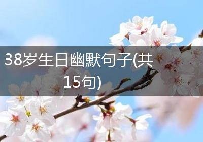 38岁生日幽默句子(共15句)
