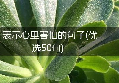 表示心里害怕的句子(优选50句)