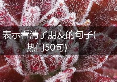 表示看清了朋友的句子(热门50句)