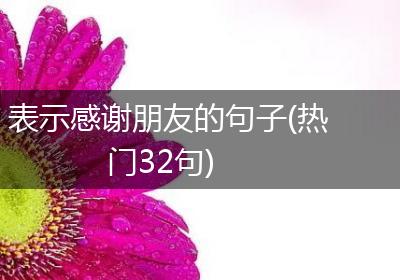 表示感谢朋友的句子(热门32句)
