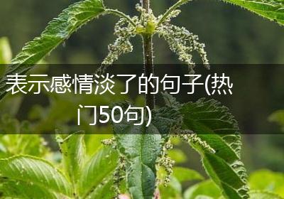 表示感情淡了的句子(热门50句)