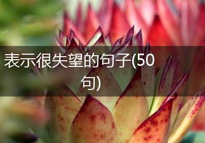 表示很失望的句子(50句)