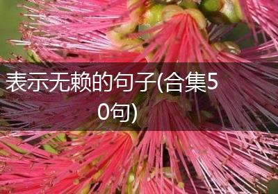 表示无赖的句子(合集50句)
