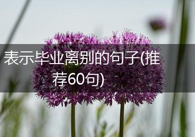 表示毕业离别的句子(推荐60句)