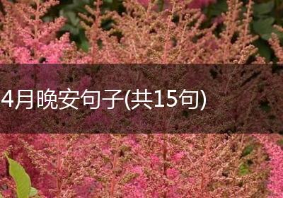 4月晚安句子(共15句)