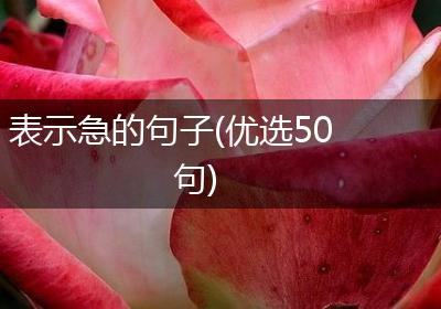 表示急的句子(优选50句)
