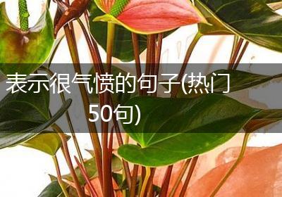 表示很气愤的句子(热门50句)