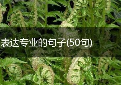 表达专业的句子(50句)