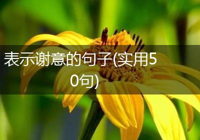 表示谢意的句子(实用50句)