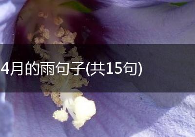4月的雨句子(共15句)