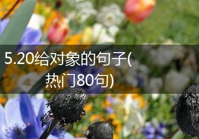 5.20给对象的句子(热门80句)