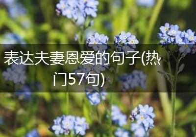 表达夫妻恩爱的句子(热门57句)