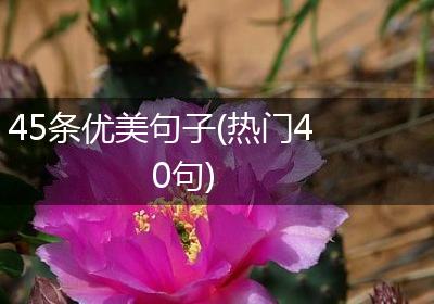 45条优美句子(热门40句)