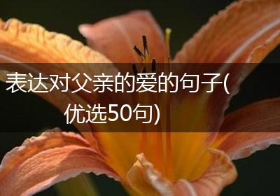 表达对父亲的爱的句子(优选50句)