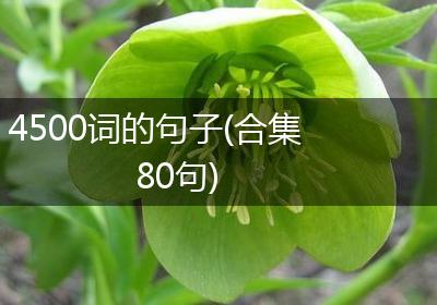 4500词的句子(合集80句)