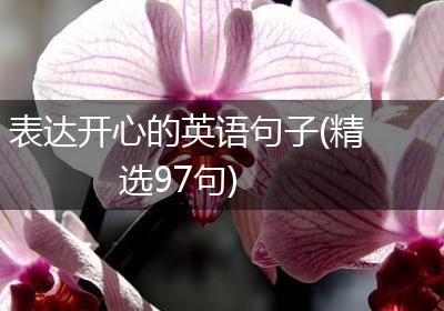 表达开心的英语句子(精选97句)