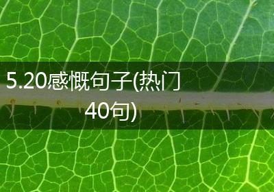 5.20感慨句子(热门40句)
