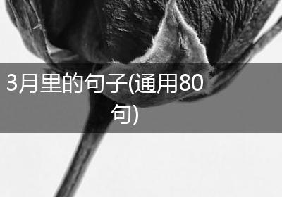 3月里的句子(通用80句)