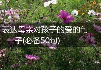 表达母亲对孩子的爱的句子(必备50句)