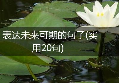 表达未来可期的句子(实用20句)