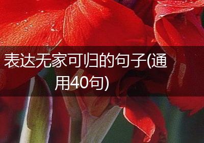 表达无家可归的句子(通用40句)